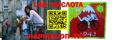прущие грибы Сланцы