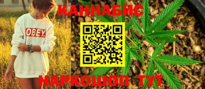 прущие грибы Сланцы